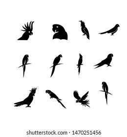 set of parrot logo icon design vector illustration