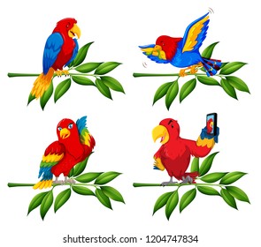 Conjunto de loro en la ilustración de la rama de árbol
