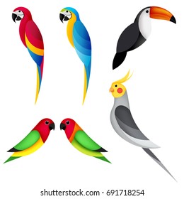 set parrot on white background