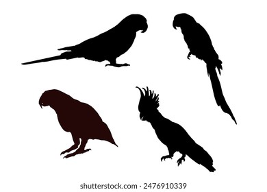 Set of parrot silhouette isolated - vector illustration	
