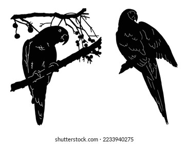 set of parrot sitting on tree vector logo illustration. two set of parrots sitting on tree branch vector emblem