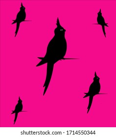 Set of parrots. Black birds on pink.Vector illustration. Elements for design