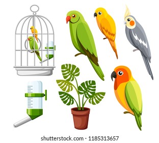 Set of parrots. Cage with birds, water drinker and flower pot. Cartoon style icons. Flat vector illustration isolated on white background.