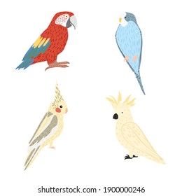 Set parrots isolated on white background. Cute characters birds cockatoo, ara, budgie, corella. Colorful tropical birds. Doodle vector illustration.