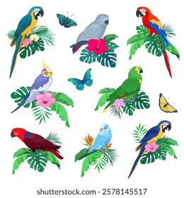 Set of parrots on palm leaves. Summer arrangements with different parrots, palm leaves and tropical flowers. Vector illustration