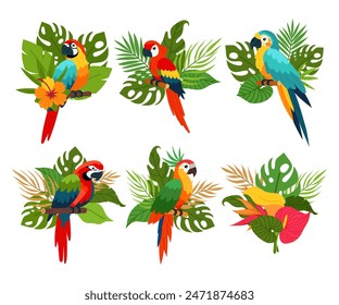 Set of parrots with tropical plants in flat style. Tropical composition. Tropical bird. Jungle plants.