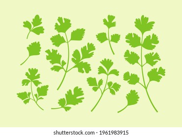 set of parsley or cilantro herb vector icons