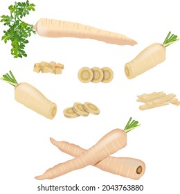 Set of parsnips for banners, flyers, posters, cards. Whole, half, and sliced parsnip. Diced parsnips. Parsnip with tops. Parsnip cut into strips. Parsnip root. Fresh vegetables. Vector illustration