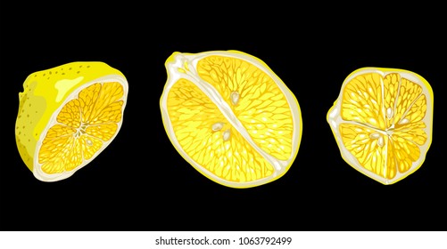 Set with parts of lemon fruit in different forms and shapes. There are lemon slices and halves