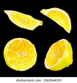 Set with parts of lemon fruit in different forms and shapes. There are lemon slices and halves