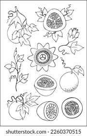 Set of passion fruit element: leaves, flower, fruit, fruit cut in black and white. Vector illustration.