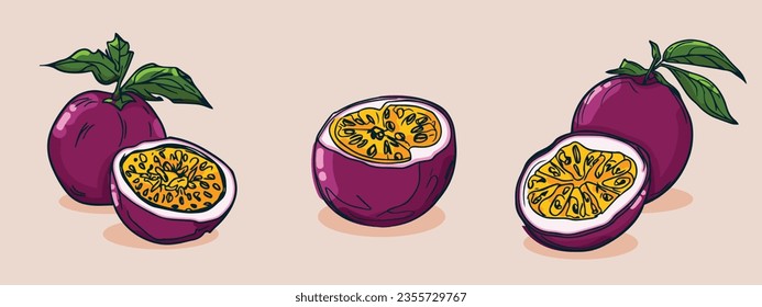 Conjunto de frutos de la pasión, Ilustración vectorial en una línea de boceto, boceto plano a mano, fruta colorida con sombra y luz, aislada en fondo de color.