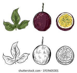 Set of passion fruits, color and monochrome, vector