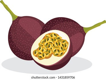 Set of passionfruit. Vector illustration cartoon flat icon isolated on white
