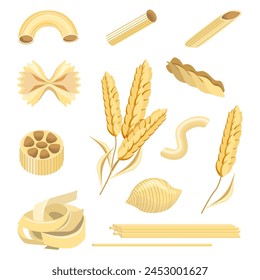 Set of pasta, conciglioni, pappardelle, fartelle, cellentani, tortiglioni, fusilli, penne, ears of wheat, isolated on a white background. Vector collection of pasta for restaurant menus, pasta package