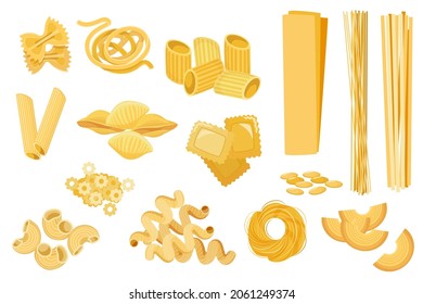 Set Pasta Types Stelle, Filini, Farfalle and Quadretti. Nidi Di Roundine Tagltatelle, Cornetti Rigati or Penne, Canelone, Cavatappi, Konkiloni, Spaghetti or Lazagna, Risoni Cartoon Vector Illustration