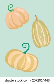 Conjunto de ilustraciones vectoriales de calabaza pastel