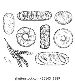 Set with pastries. Vector illustration