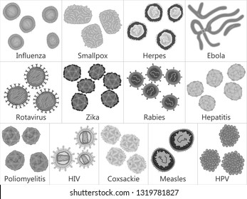 Set of  pathogenic viruses, black and white vector illustration