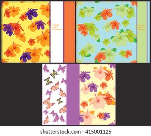 set the pattern bright to cards with butterflies and hibiscus vector illustration