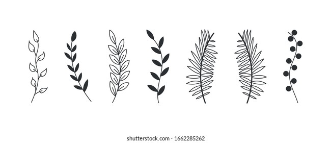 Set of pattern tree branches, eucalyptus trees, palm leaves, grass.Hand made sketch of vintage elements leaves, flowers, swirls and feathers.Colored elements drawn with a pen brush.Vector illustration