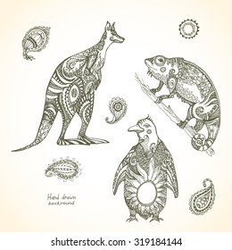 Set of patterned wild animals.Decorative Kangaroo, Chameleon,Penguin .