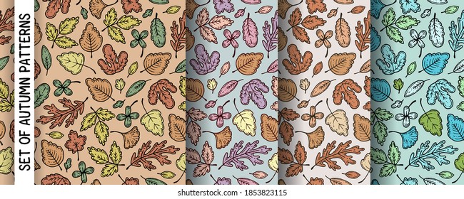 A set of patterns with autumn leaves.