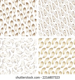 Set of patterns with feathers.Golden feathers on a transparent background in a collection of vector patterns.