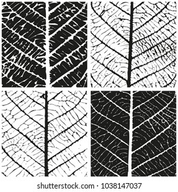 Set of patterns with skeleton leaves. Natural background. Vector illustration