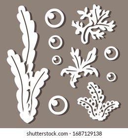 Set of patterns of water plants. Vector illustration.