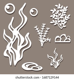 Set of patterns of water plants. Vector illustration.