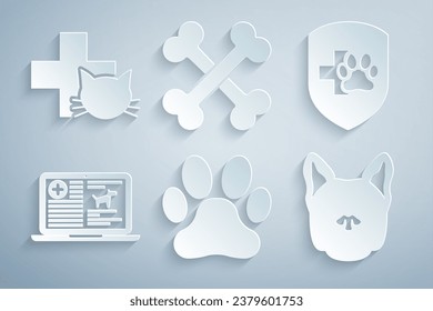 Set Paw print, Animal health insurance, Clinical record dog on laptop, Dog, Crossed bones and Veterinary clinic icon. Vector
