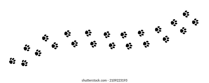 set of Paw print foot trail