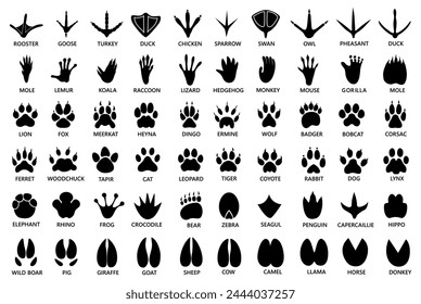 Set paw print silhouette icon. Animal footprint symbol design vector illustration