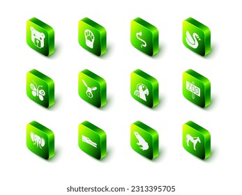 Set Paw print, Snake, Swan bird, Zoo park, Horse, Macaw parrot, Frog and Crocodile icon. Vector