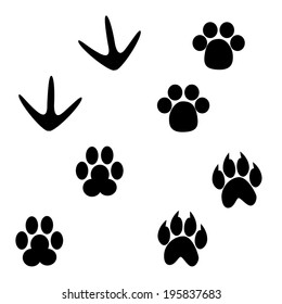 Set of paw print Vector