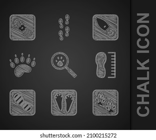 Set Paw search, Rabbit and hare paw footprint, Fox, Square measure size, Human footprints shoes, Bear,  and  icon. Vector