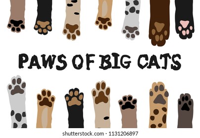 Set of paws of wild big cats.Wallpaper cartoon, cute cat feet Wallpaper vector illustration.Zoo design, postcards, signs.Lion, jaguar,leopard,puma, tiger.