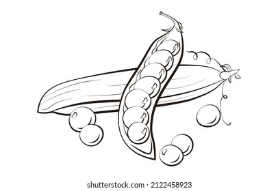 Un conjunto de ilustraciones vectoriales de pea