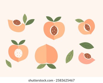 Set of peach apricot fruit with green leaves icon sign isolated on white background vector.