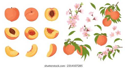 Set with peach blossom and peaches on a branch. Summer harvest.