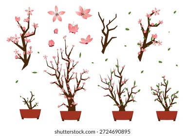 Conjunto de Ilustración vectorial de flor de melocotón