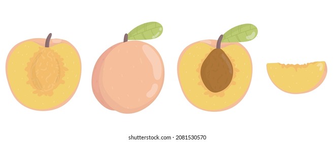 Set peach. Bright set of colorful half, slice and whole of juicy peach.