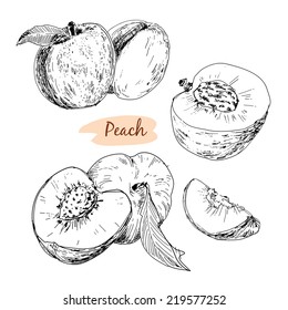 Set of peach. Collection of hand drawn graphic illustrations