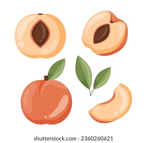 Set of peach concept. Natural and organic products. Half and slice of fruit with vitamins. Summer dessert and delicacy. Cartoon flat vector collection isolated on white background