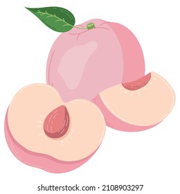 A set of peach fruit drawn in a flat style, slices and halves of fruit, leaves and bones. A set of stickers in pastel colours. Vector illustration