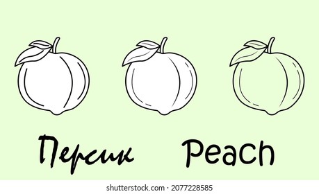 Un conjunto de objetos de melocotón con la inscripción "melocotón" en ruso e inglés. Ilustración vectorial simple, eps