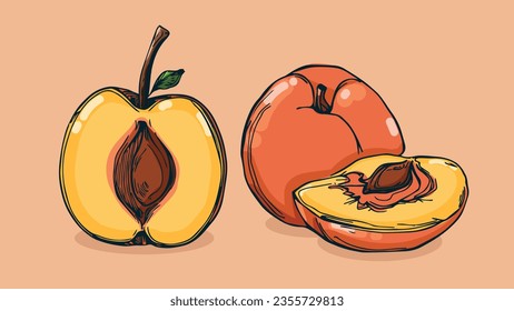 Conjunto de frutos de cáscara, Ilustración vectorial en un estilo de boceto de línea, boceto plano a mano, fruta colorida con sombra y luz, aislada sobre fondo de color.