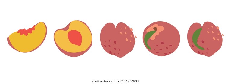 A set of peach slices in flat style. Fresh, juicy and tasty fruit. Vector illustration of organic fruit. Eco-label for natural peach flavor. Juice, smoothie design.