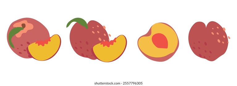 A set of peach slices in flat style. Fresh, juicy and tasty fruit. Vector illustration of organic fruit. Eco-label for natural peach flavor. Juice, smoothie design.